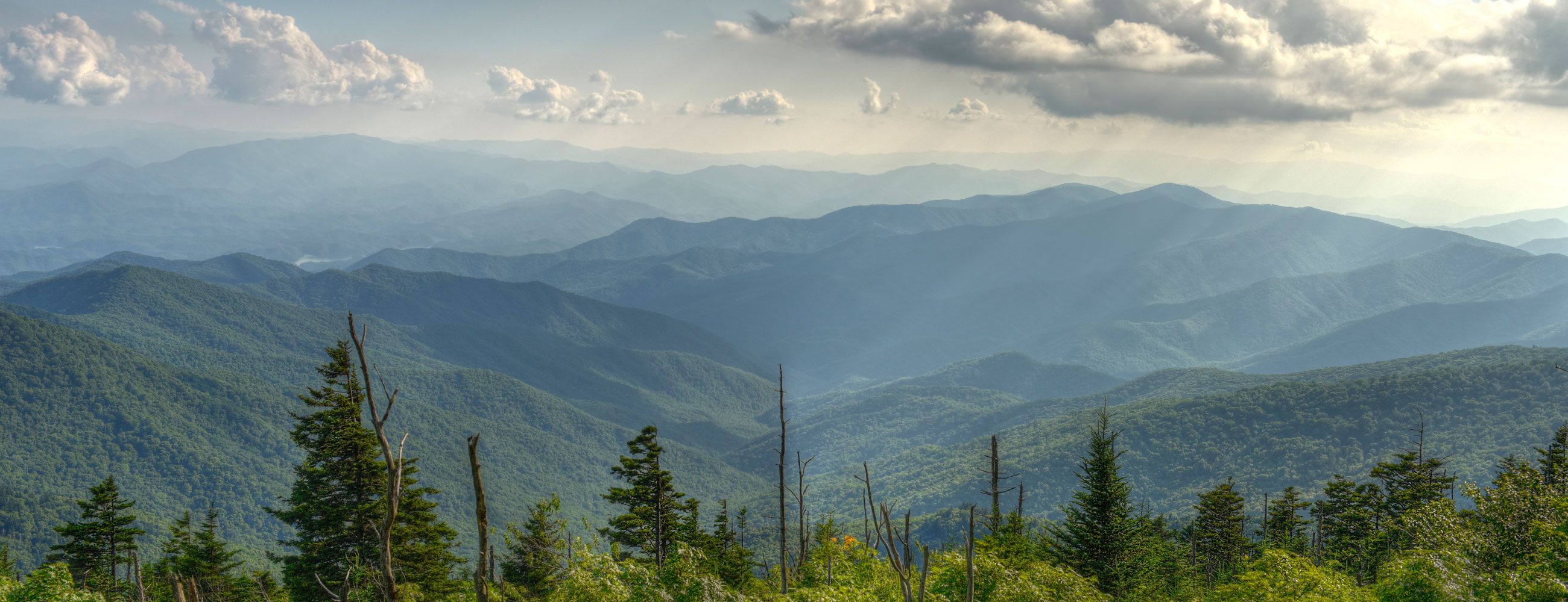 DaisyStore DaisyStore